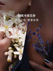YSL 圣罗兰 自由之水 商品缩略图3
