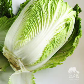 生态大白菜（洛阳） | 合作生产* ecological soybean | Coproduction