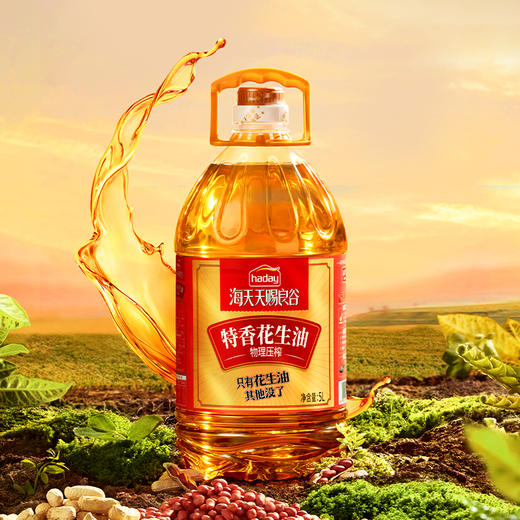 【品牌直发】海天天赐良谷特香花生油5L大豆油5L低芥酸菜籽油5L纯物理压榨不添加 商品图0