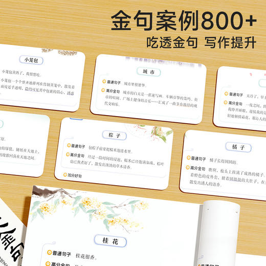 作文金句800例高分作文素材范文优美句子积累大全高分作文 商品图4