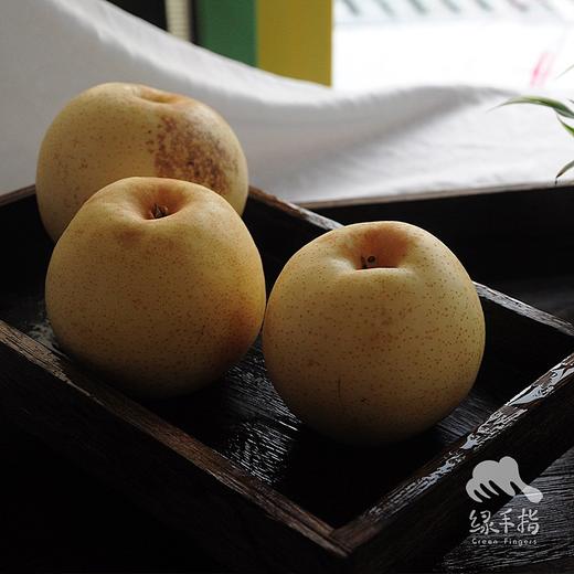 有机黄金梨（山西） | 合作生产 *Organic-golden Pear| Partner Production 商品图1