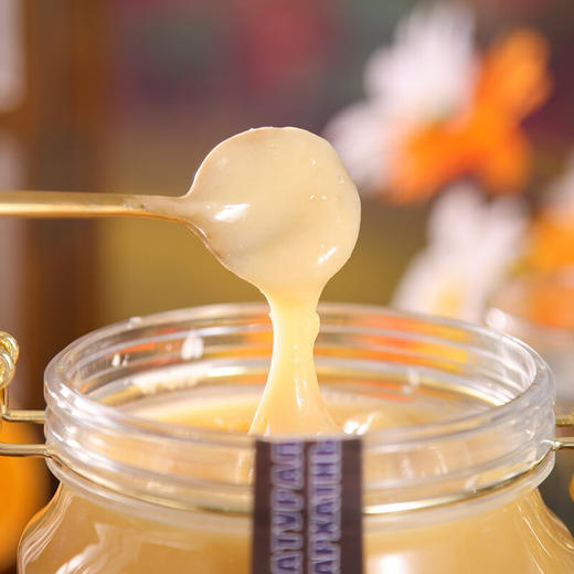 俄罗斯俄蜜源黄菠萝蜂蜜1000g/033724 口味丰富自然美味 商品图1