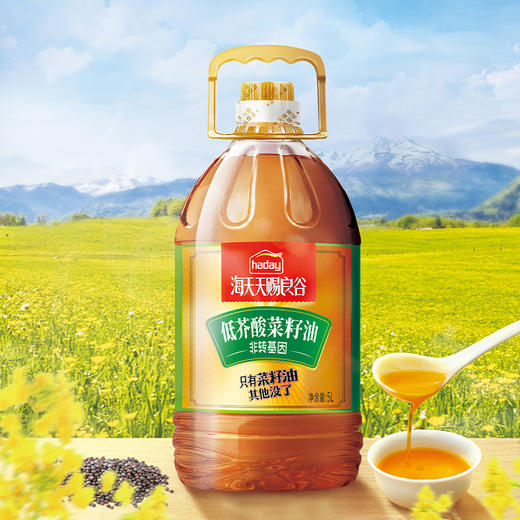 【品牌直发】海天天赐良谷特香花生油5L大豆油5L低芥酸菜籽油5L纯物理压榨不添加 商品图4