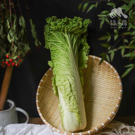 生态大白菜（洛阳） | 合作生产* ecological soybean | Coproduction 商品图4