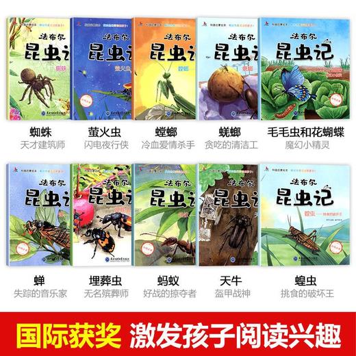 法布尔昆虫记注音版儿童绘本故事6-12岁全集科普启蒙少儿百科全书 商品图1