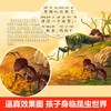 法布尔昆虫记注音版儿童绘本故事6-12岁全集科普启蒙少儿百科全书 商品缩略图3
