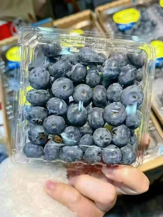 【纯甜】怡颗莓进口蓝莓,又脆又甜，蓝莓味也浓，爱眼护眼， 商品图4