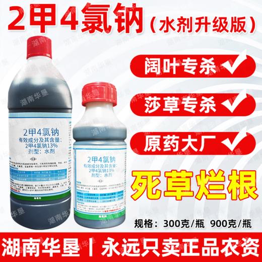 锐耙13%二甲四氯钠水剂2甲4氯钠小麦田阔叶杂草除草剂华星正品 商品图0