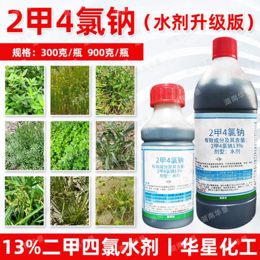 锐耙13%二甲四氯钠水剂2甲4氯钠小麦田阔叶杂草除草剂华星正品 商品图3