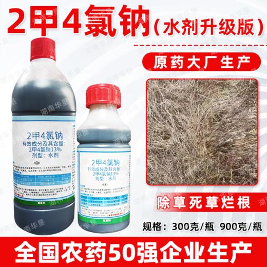 锐耙13%二甲四氯钠水剂2甲4氯钠小麦田阔叶杂草除草剂华星正品 商品图1