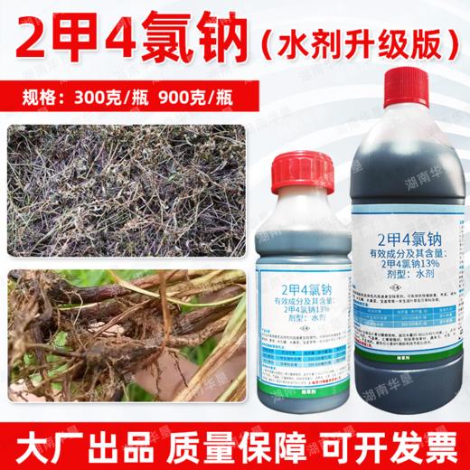 锐耙13%二甲四氯钠水剂2甲4氯钠小麦田阔叶杂草除草剂华星正品 商品图4