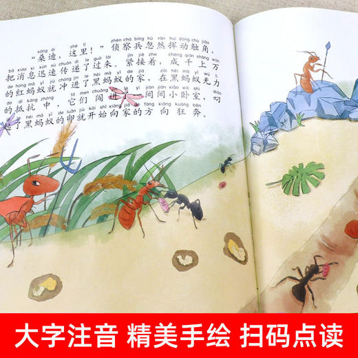 法布尔昆虫记注音版儿童绘本故事6-12岁全集科普启蒙少儿百科全书 商品图2