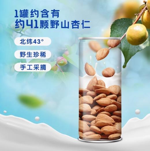 露露杏仁露经典原味罐装饮料杏仁植物蛋白饮品整箱装245ml*15罐 商品图3