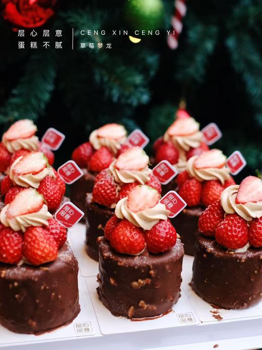 草莓梦龙 商品图1