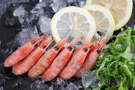 精品-北极甜虾-