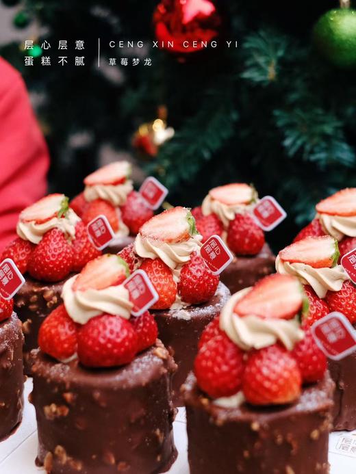 草莓梦龙 商品图0