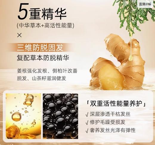 海瑟薇洗发水（防脱固发）500ml生姜 商品图3