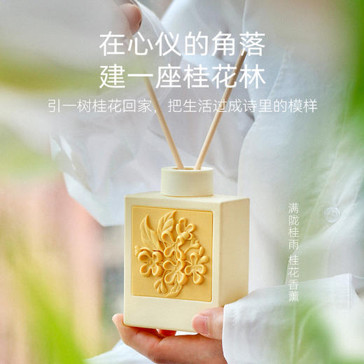 D-FK 赋刻 花艺篆刻无火香薰  120ml 商品图2