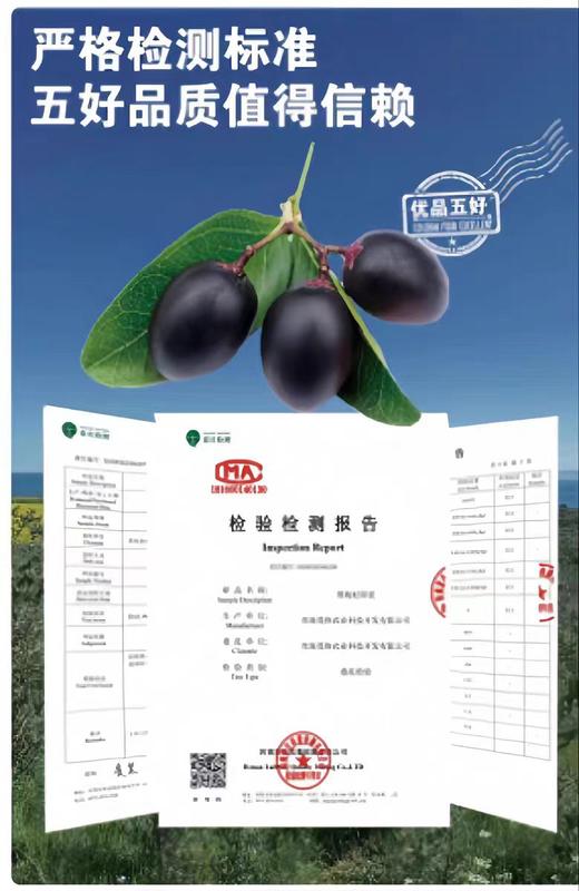 莫热仓黑枸杞原浆（50ml*10瓶） 商品图4