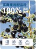 莫热仓黑枸杞原浆（50ml*10瓶） 商品缩略图1