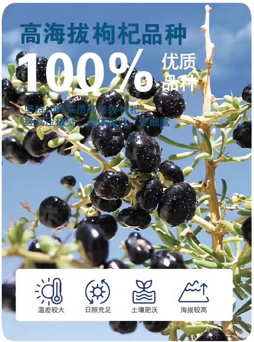 莫热仓黑枸杞原浆（50ml*10瓶） 商品图1