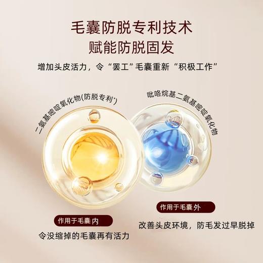 苏图仕SUTUS防脱固发洗发露 商品图1
