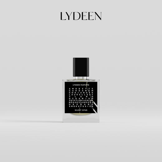 【一口价】LYDEEN 徕汀 沉默巨著香精香水 25ml【保质期：最差28年起】 商品图1