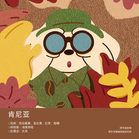 肯尼亚 麒麟雅加AA