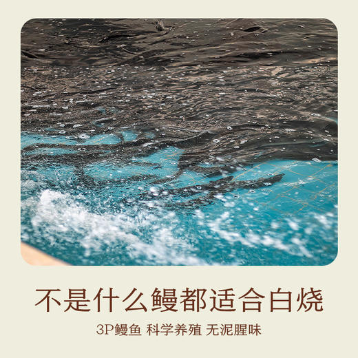 南食召 本真白烧鳗鱼 商品图2