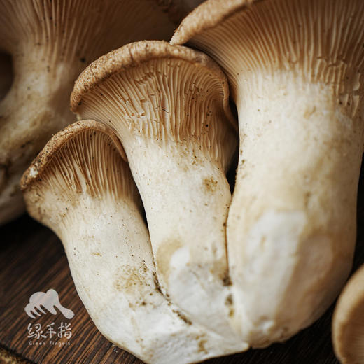生态麒麟菇 | 绿家自产* Ecological abalone mushroom | Self-production 商品图4