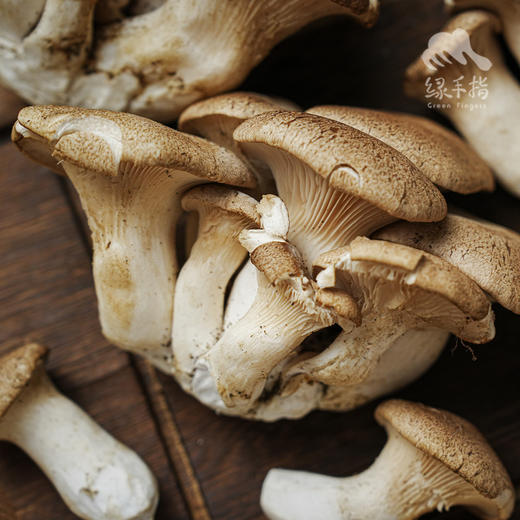 生态麒麟菇 | 绿家自产* Ecological abalone mushroom | Self-production 商品图0