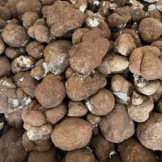 正安原材·云南普洱茯苓 夏季采挖优质原材 颗粒饱满均匀切丁 原味清香口感软糯 300g/罐【冷藏保存】 商品图9