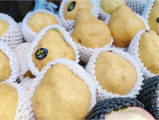 精品丑梨三斤 商品图1