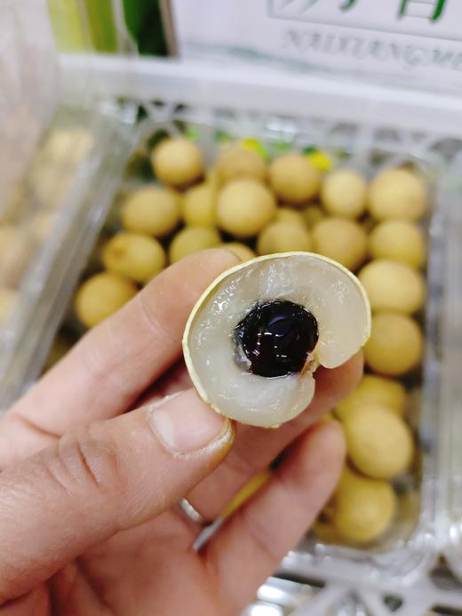金果园鲜龙眼一盒 商品图2
