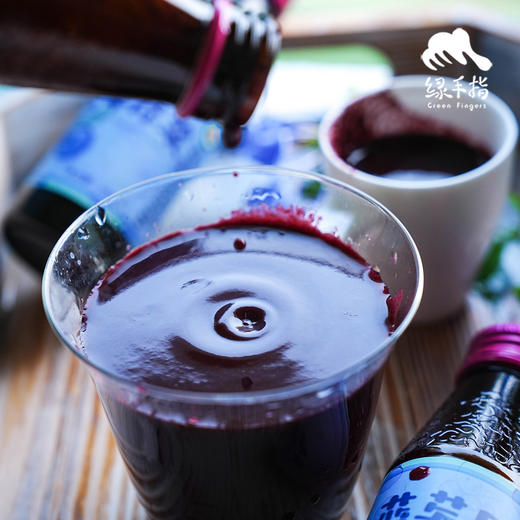 有机蓝莓原浆 |  绿家自产 * Organic Blueberry Puree |  Self-production 商品图2