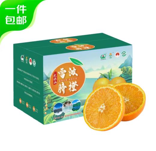四川大凉山正宗雷波脐橙 - 含箱10斤装  ZY彩箱装【水果】 商品图1