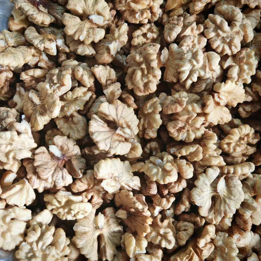 【核桃】野生尖嘴小核桃虽小个却香甜 都是没有泡药水的原生态核桃 /核桃仁 新货包邮 商品图10