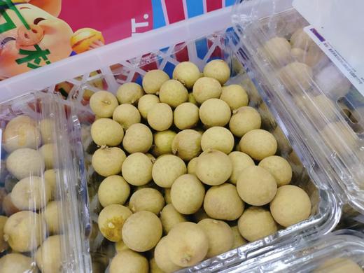 金果园鲜龙眼一盒 商品图1