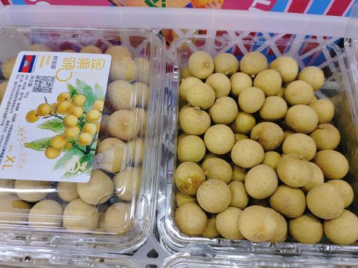 金果园鲜龙眼一盒 商品图0
