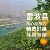 四川大凉山正宗雷波脐橙 - 含箱10斤装  ZY彩箱装【水果】 商品缩略图2