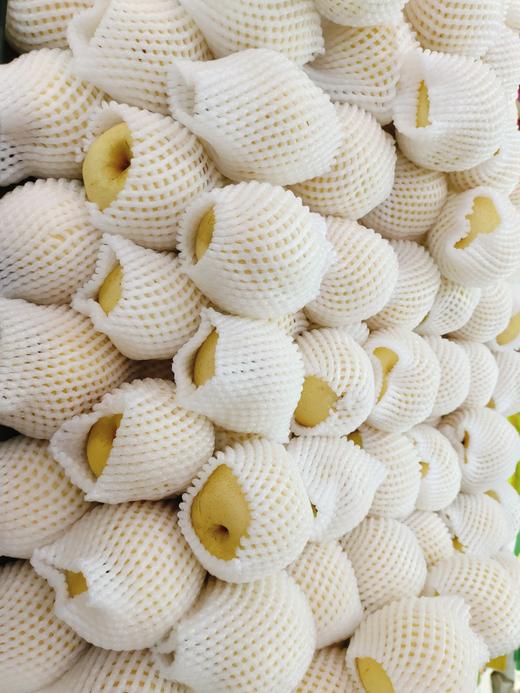 皇冠梨3斤 商品图1