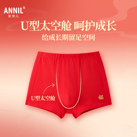 男童平角裤两件装春季新款安奈儿童装JB517043 商品图1