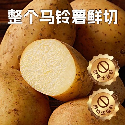 麦肯金牌冷冻薯条 500±10g  1kg±10g 商品图1