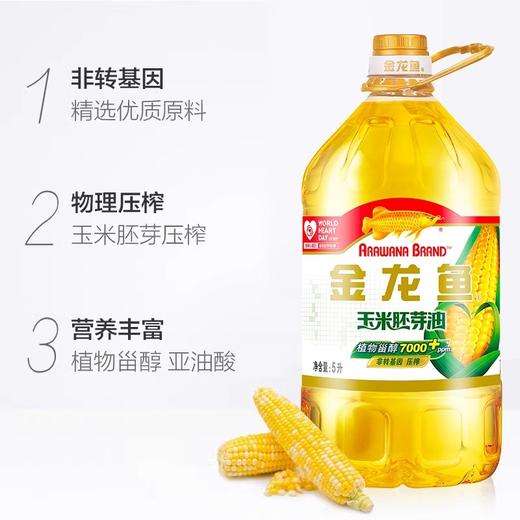 金龙鱼玉米胚芽油  5L/壶 商品图0