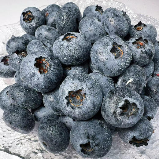 【新鲜蓝莓】云南抚仙湖蓝莓基地现采现发 花香蓝莓个大甜脆好吃 顺丰空运包邮 商品图2