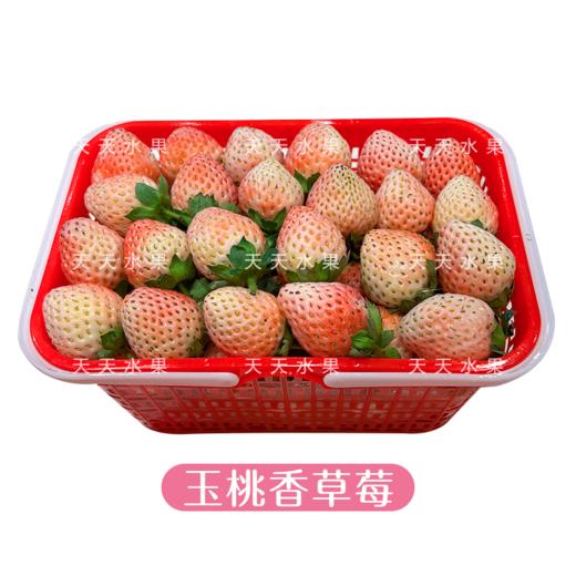 小箩筐  黑珍珠草莓  甜蜜蜜  商品图1