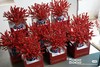 盆栽双侧展示盒 商品缩略图5