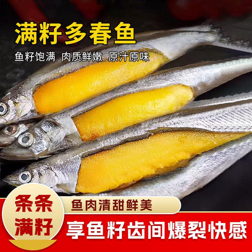 多春鱼450±50g 商品图0