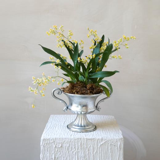 抵达繁星 Arriving at the stars 商品图3