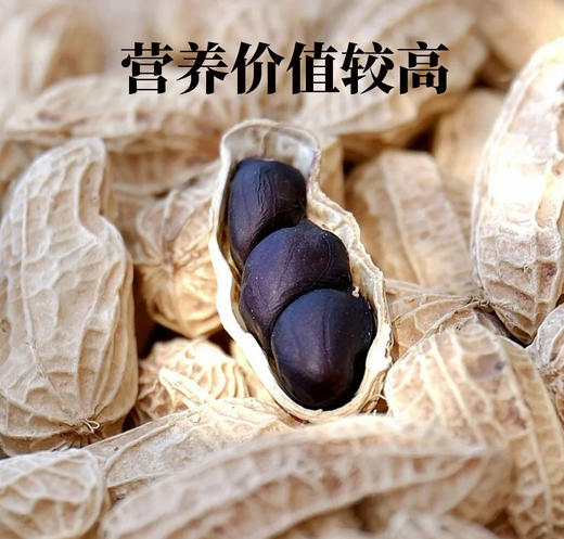 鲤妤富硒黑珍珠花生500g 商品图0